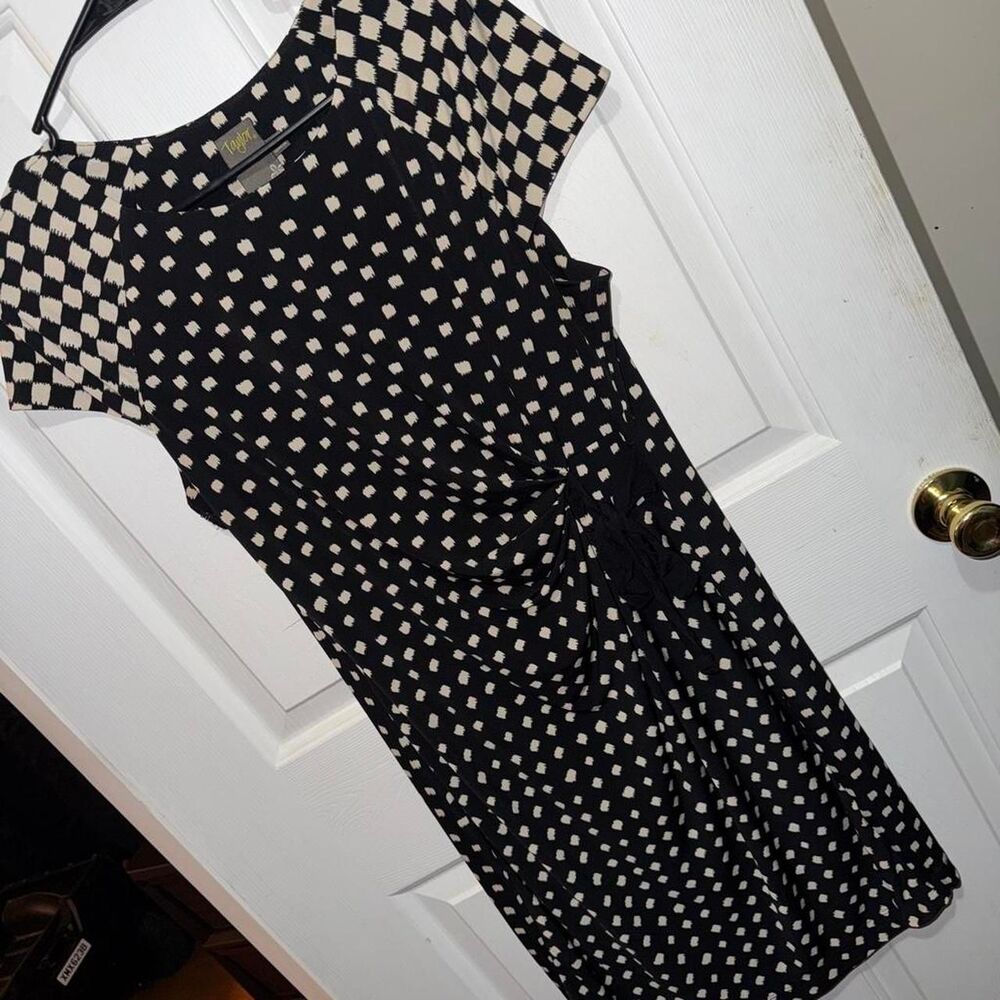 Taylor Women's multi Dress